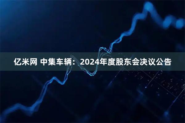 亿米网 中集车辆：2024年度股东会决议公告