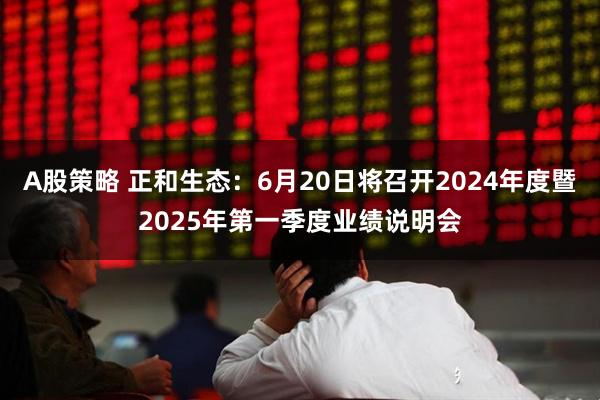 A股策略 正和生态：6月20日将召开2024年度暨2025年第一季度业绩说明会