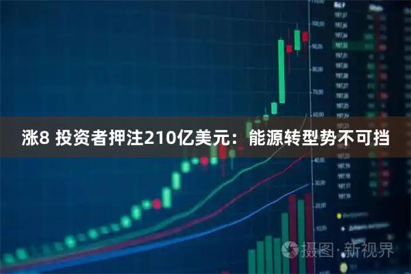 涨8 投资者押注210亿美元：能源转型势不可挡
