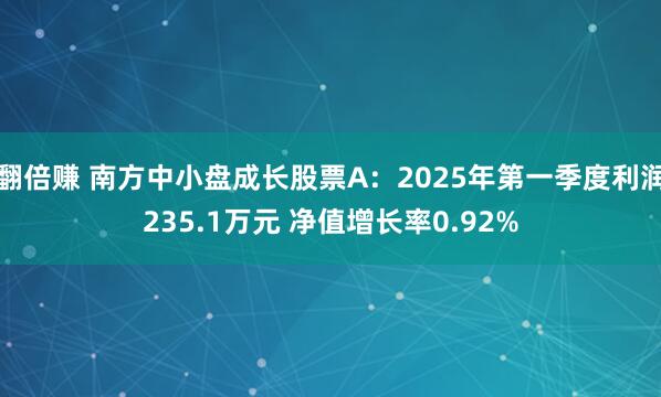 翻倍赚 南方中小盘成长股票A：2025年第一季度利润235.1万元 净值增长率0.92%