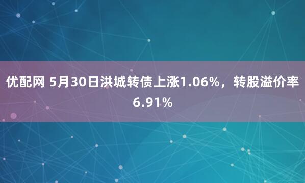 优配网 5月30日洪城转债上涨1.06%，转股溢价率6.91%